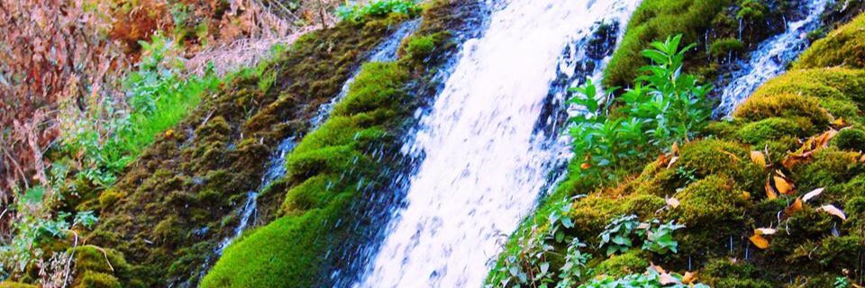 yukselhamzaoglu's profile banner image