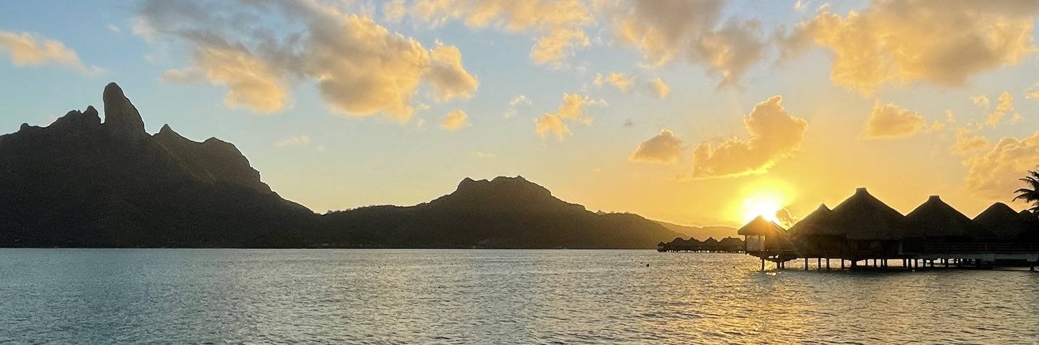 MrsJohnson1st's profile banner image