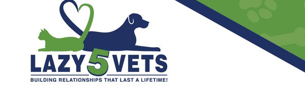 Lazy5Vets Profile Banner