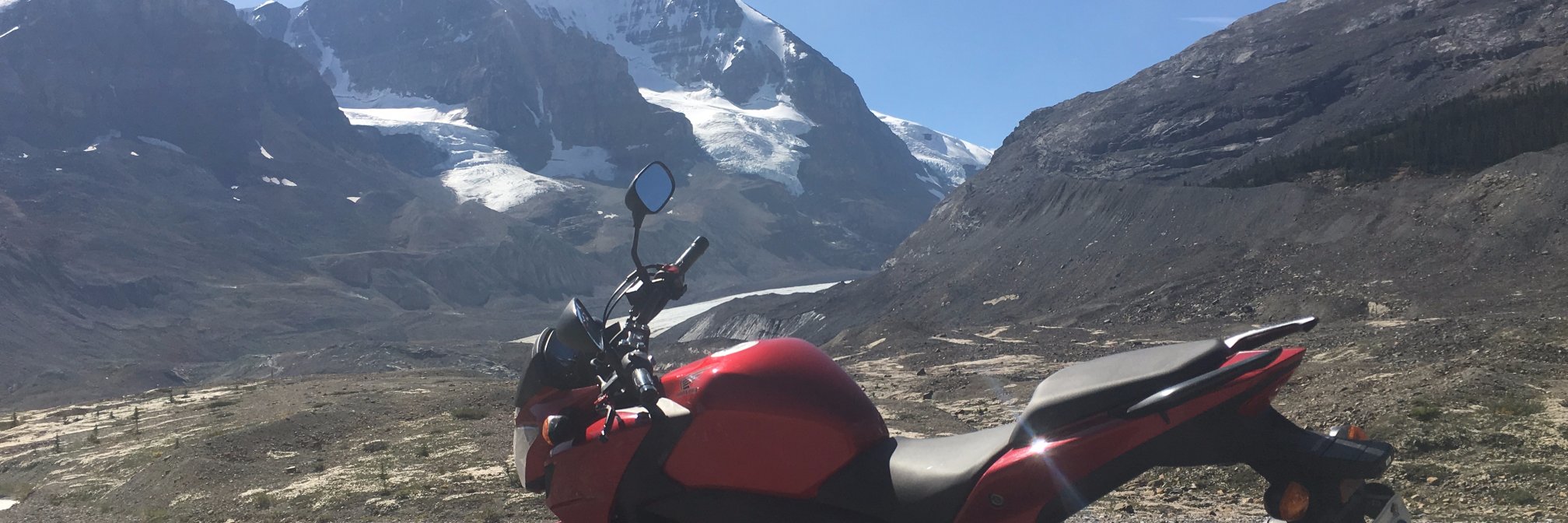 (HEE/HAW/HO/HUM) 🤡🤡🌎➕ banner