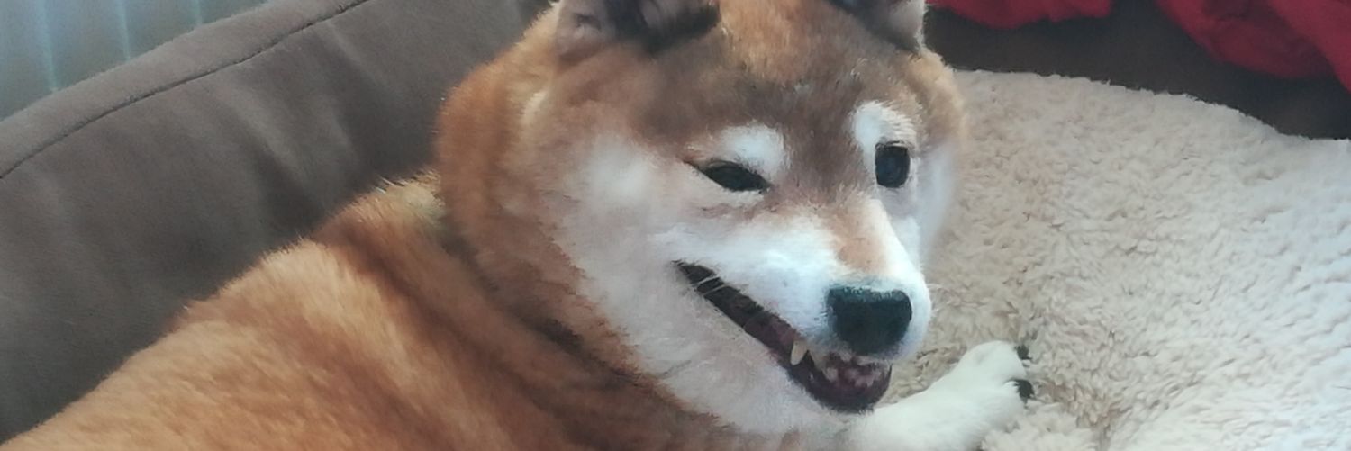 EleanorPeace7's profile banner image