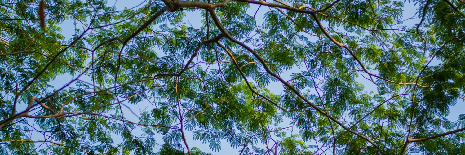 AnwishKumar's profile banner image