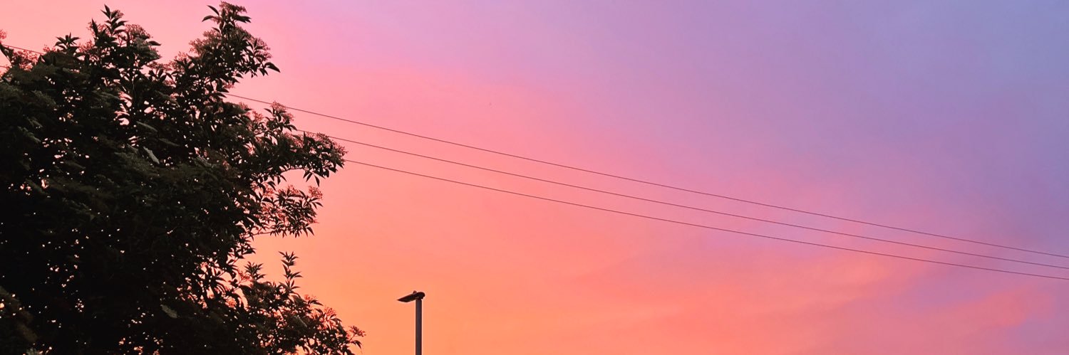 villa_bear's profile banner image