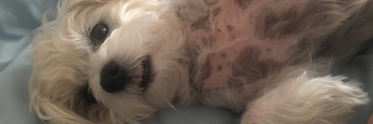 britneyp1986's profile banner image