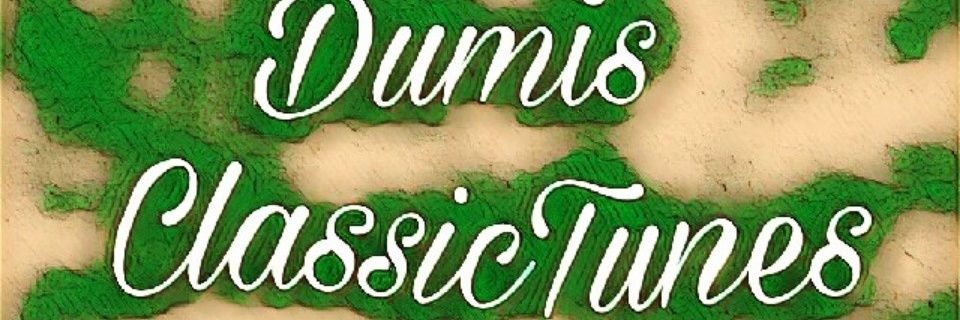 DumisKillThis's profile banner image