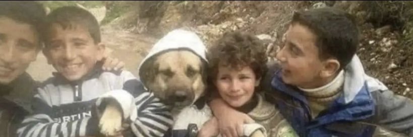 CR7 Archives. banner