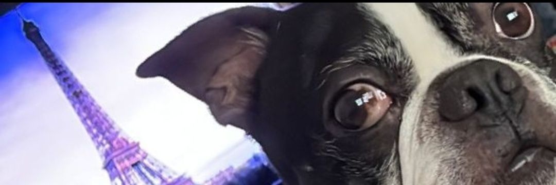 MirandaLaury's profile banner image