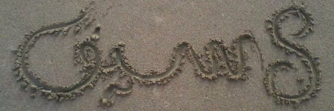 saif_albur's profile banner image