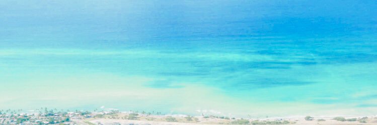 chanococoa's profile banner image