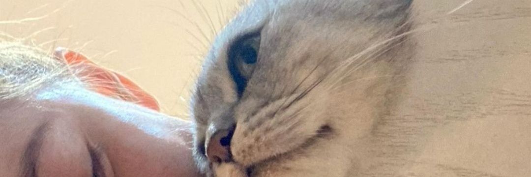 _ladybear_'s profile banner image