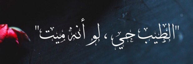 Allllzeen's profile banner image