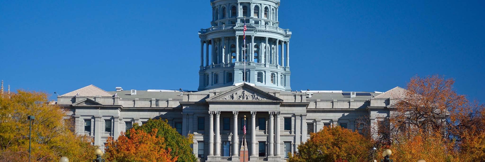 State Sen. Lucia Guzman banner