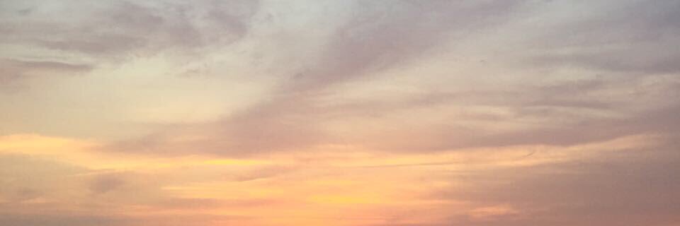PerritoLima's profile banner image