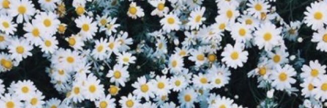 _emanuelap's profile banner image