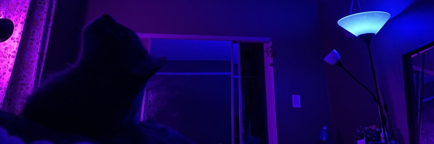 hleighm's profile banner image