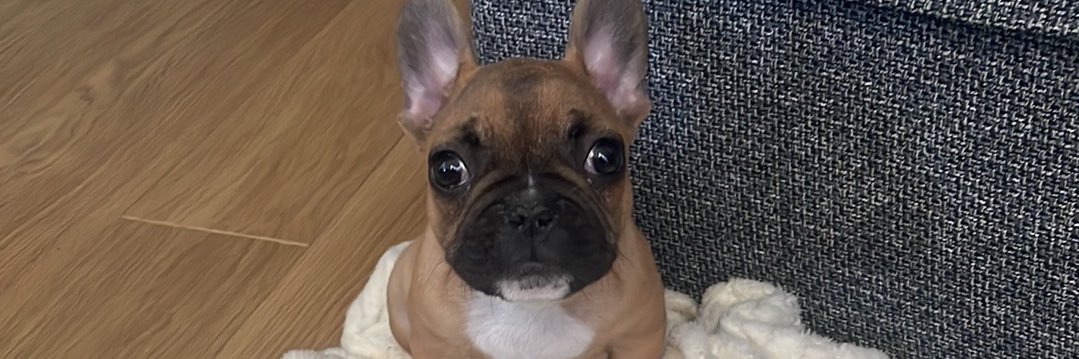 pierre_jrd's profile banner image