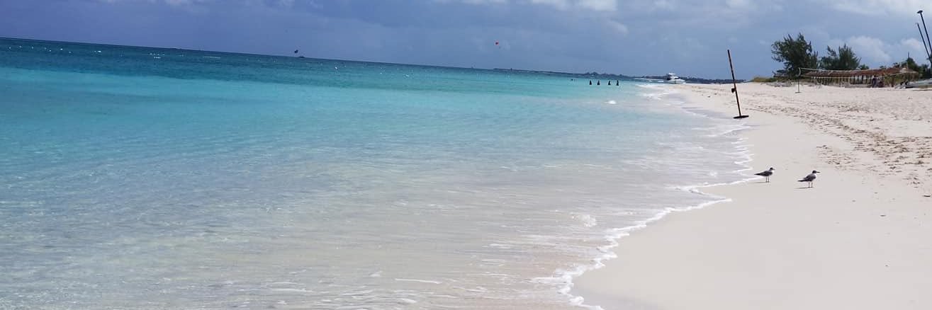 Laurs_82's profile banner image