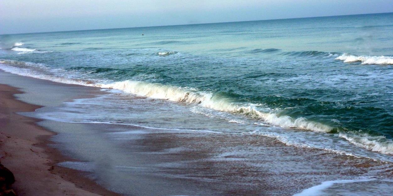 Carol Stephenson banner