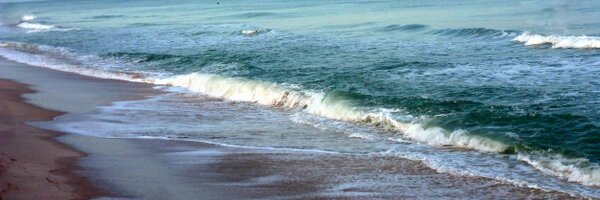 CStephensonFL Profile Banner