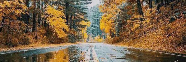 hemjay1009's profile banner image