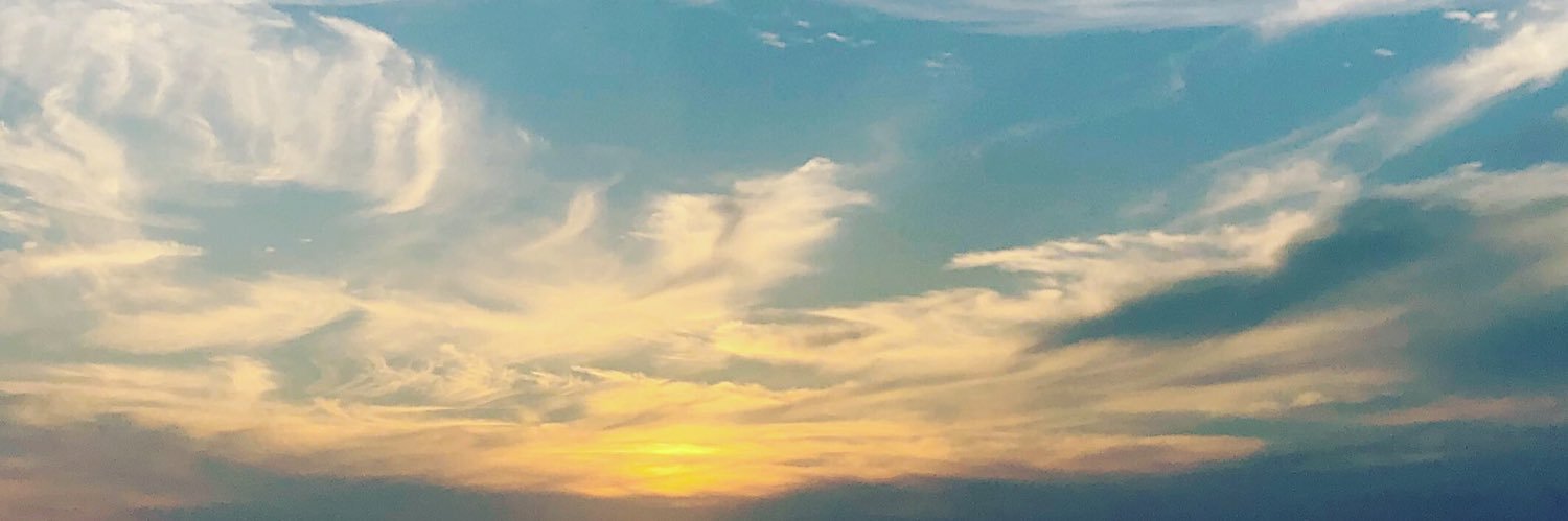 misakinakazono's profile banner image