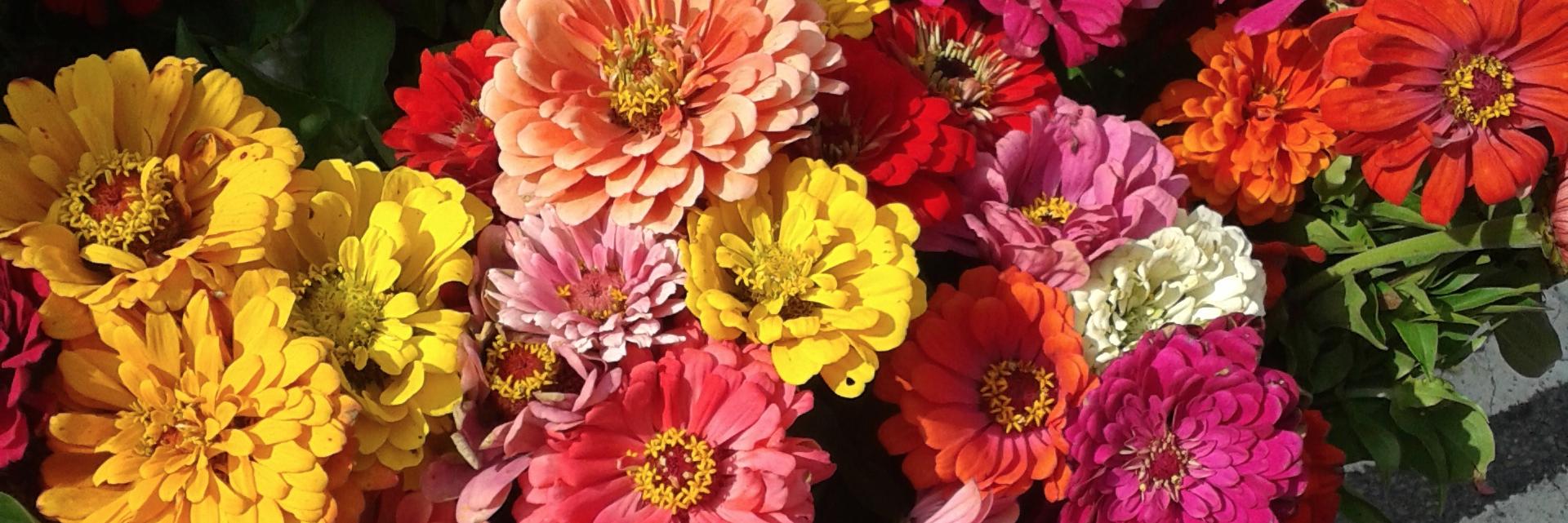 JessicaLWilt's profile banner image