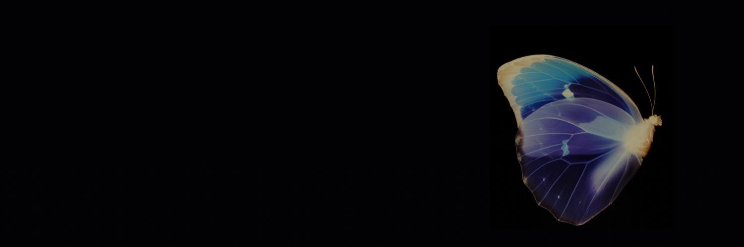 DymondChappele's profile banner image