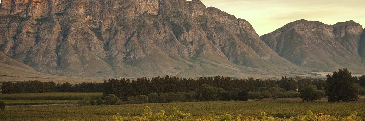 OpstalAttie's profile banner image