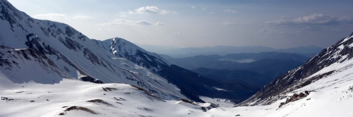 ushaapesuzake's profile banner image