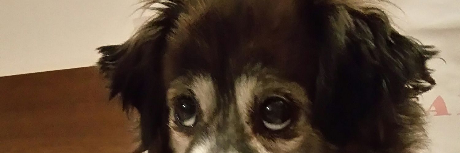 daffi15's profile banner image