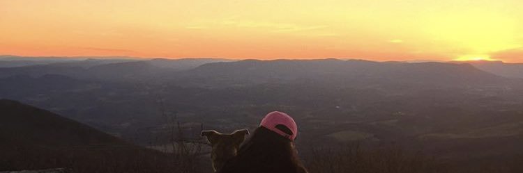 MandyRector16's profile banner image