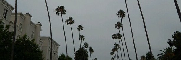 onelastrade's profile banner image