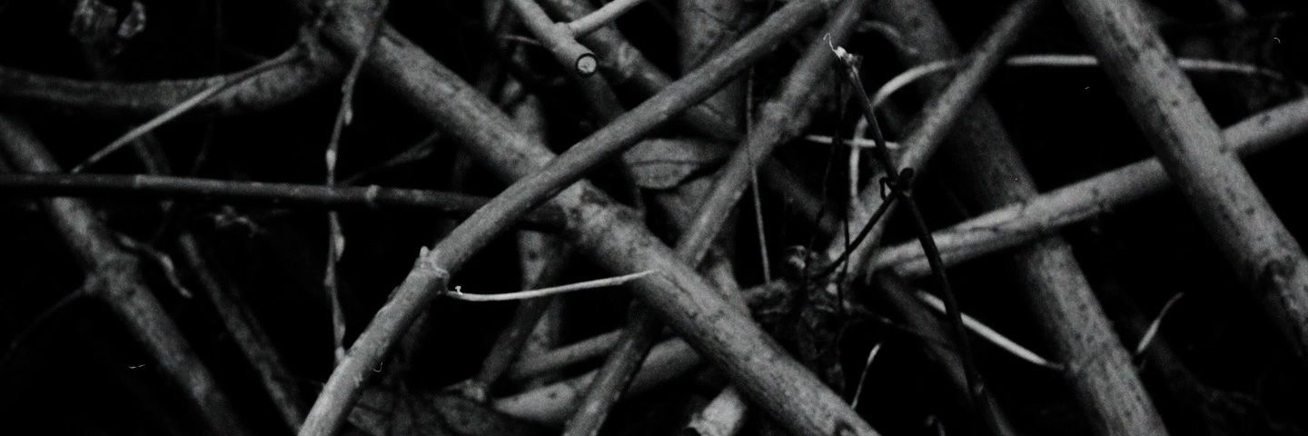 pressf603's profile banner image