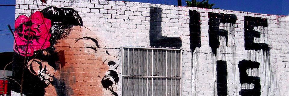 Sheena Collier banner