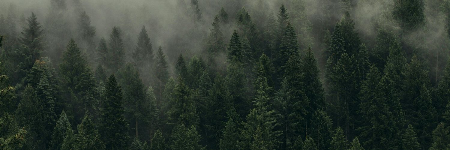 autsan_'s profile banner image