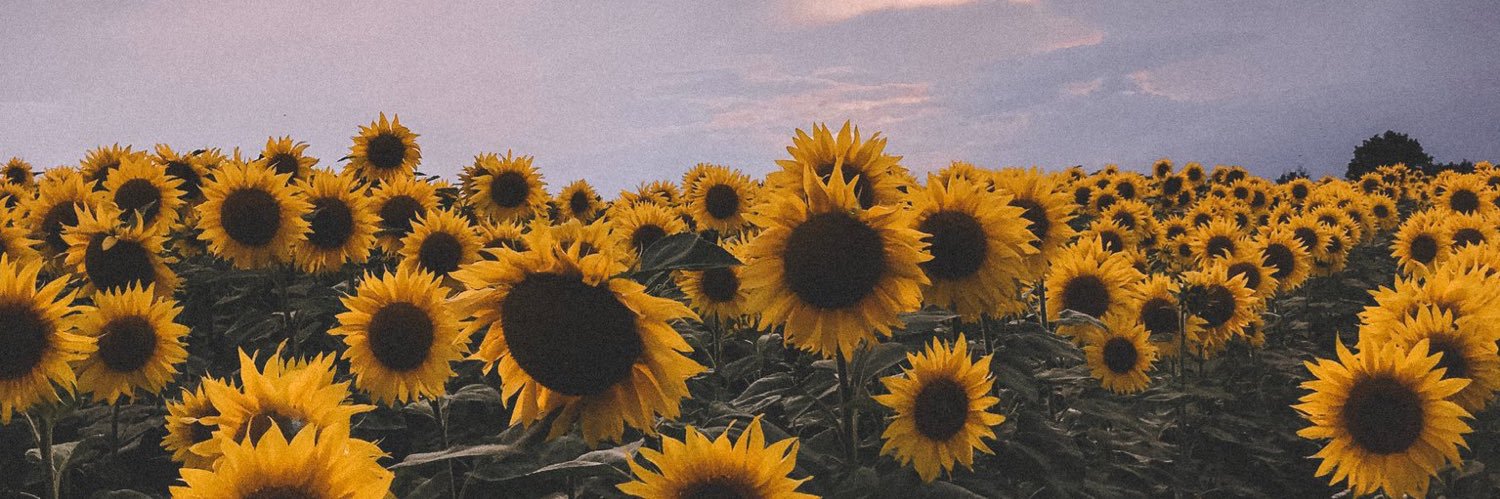 txoke's profile banner image