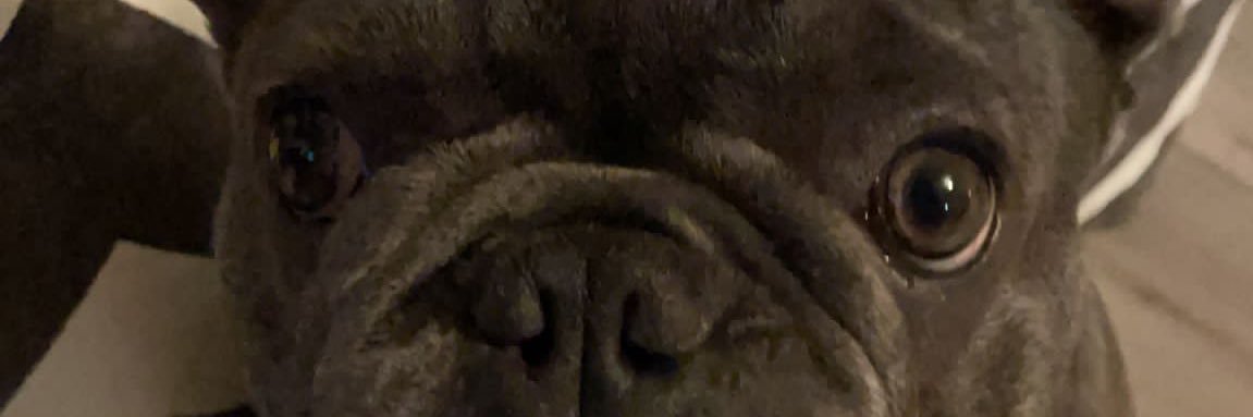 markodfc's profile banner image