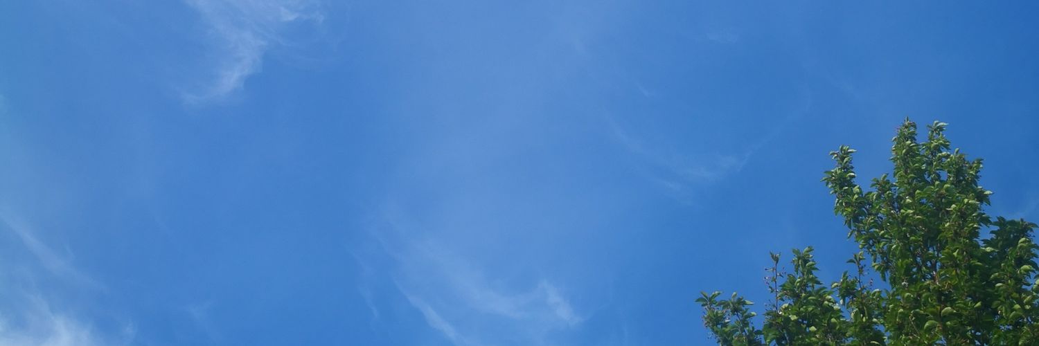 Ricbro86's profile banner image
