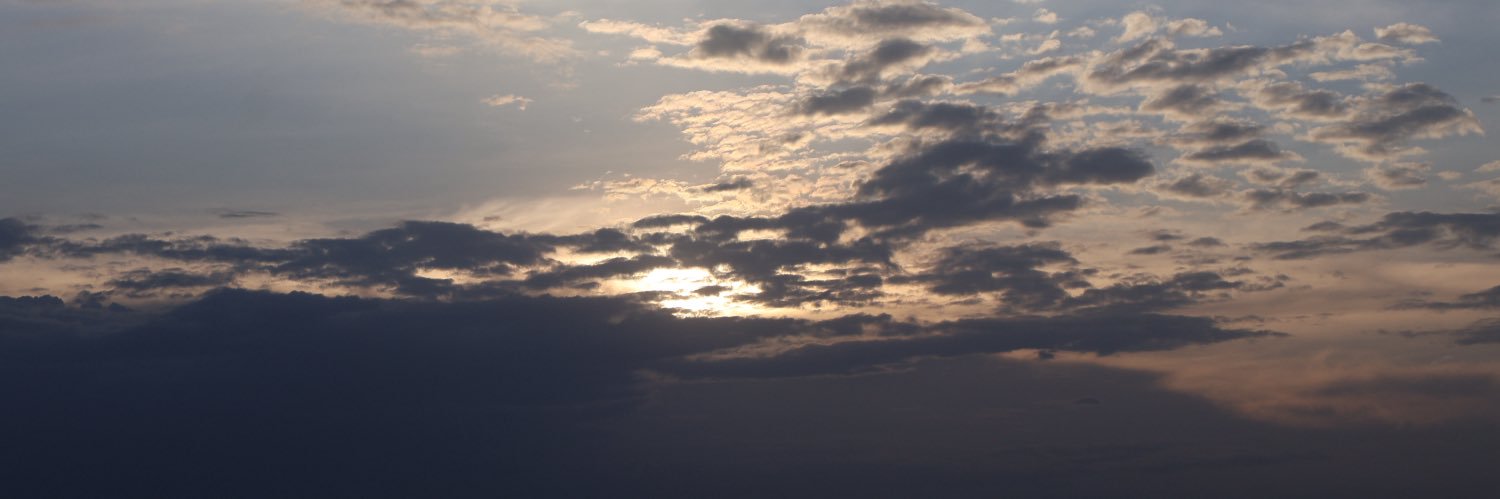 debusscherelea's profile banner image