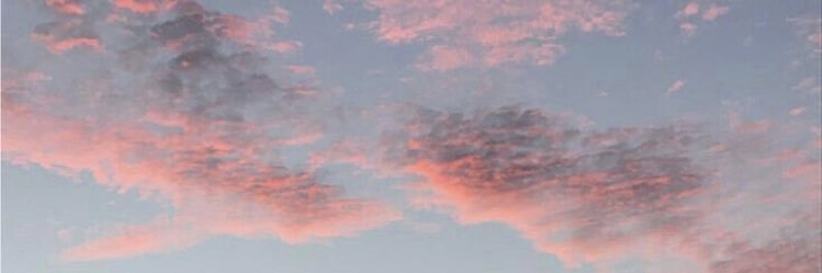 Lucia banner