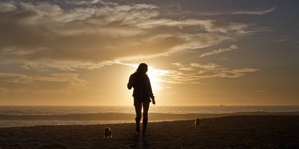 littlebobbydoo's profile banner image