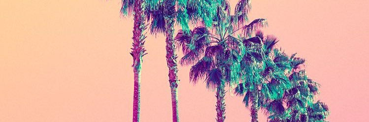 AnsleyParish's profile banner image