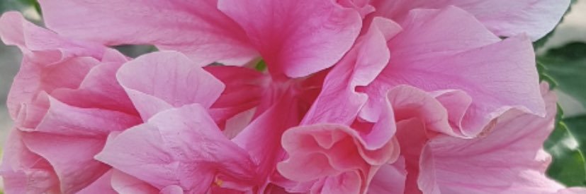 abo1614's profile banner image