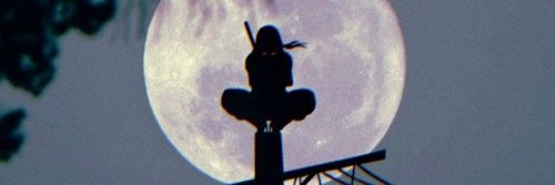 lcaleh's profile banner image