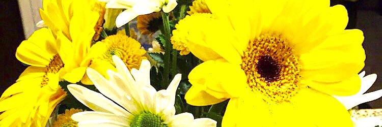 nomnomNaum's profile banner image