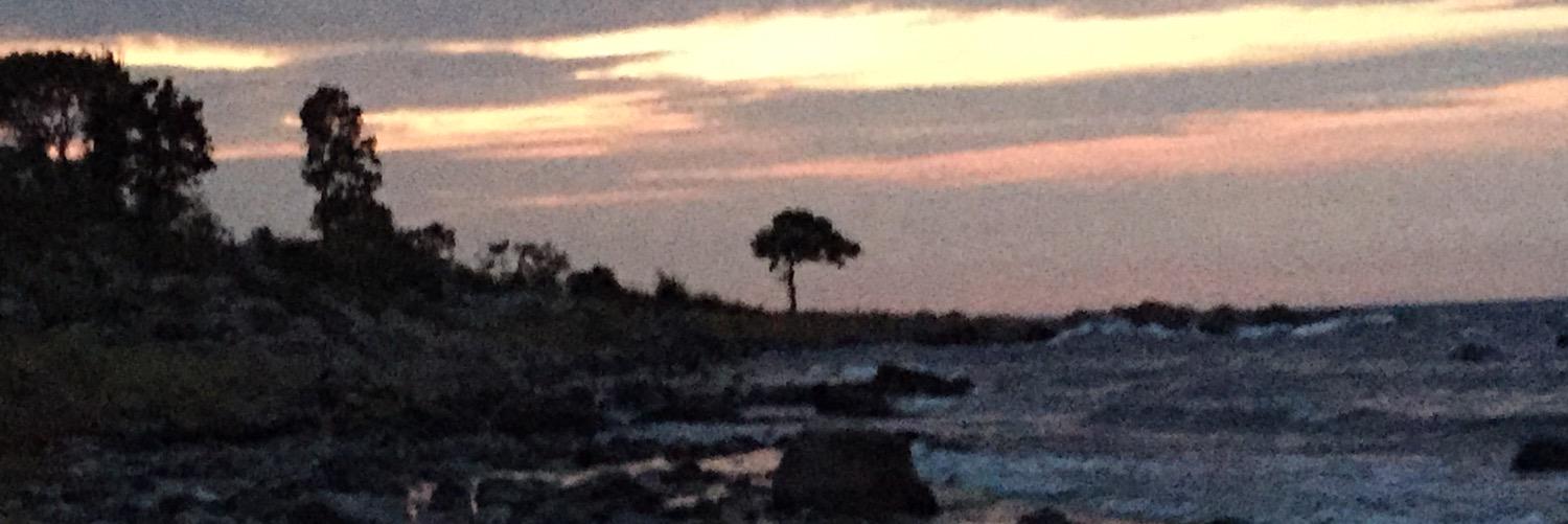 Bente_j's profile banner image