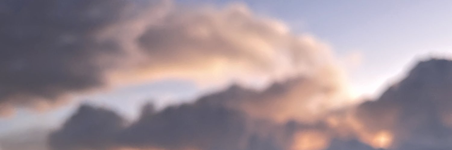 17__gsv's profile banner image