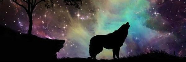 _Flo_Del_'s profile banner image