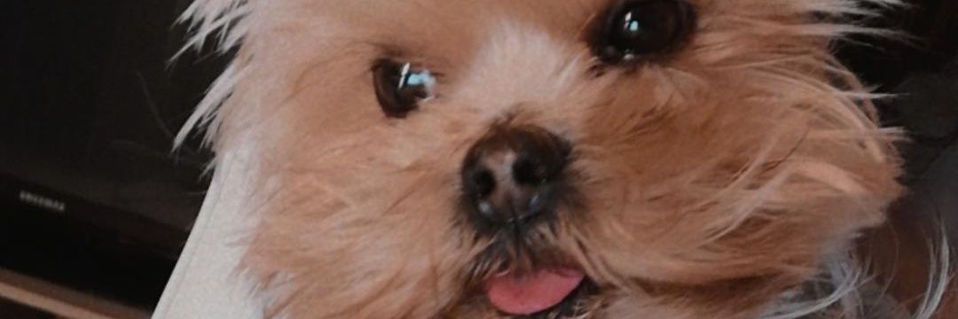marisierra96's profile banner image