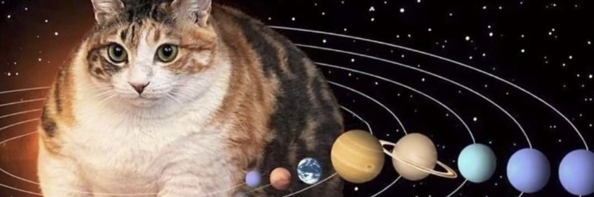 BemBichona's profile banner image